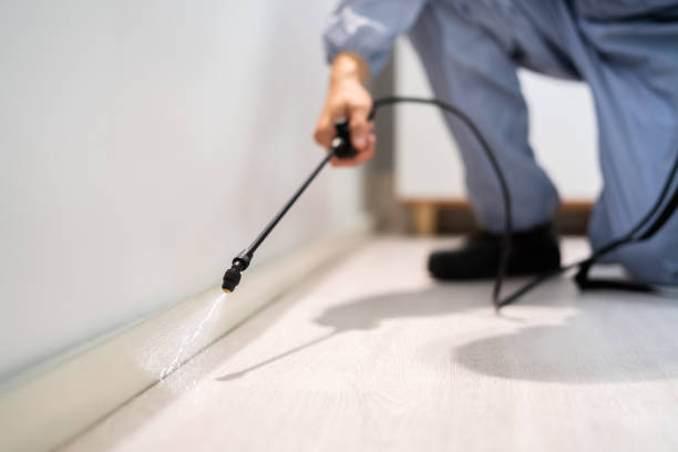 Licensed Termite Control service in Corbin, KY - Nex Pest Control