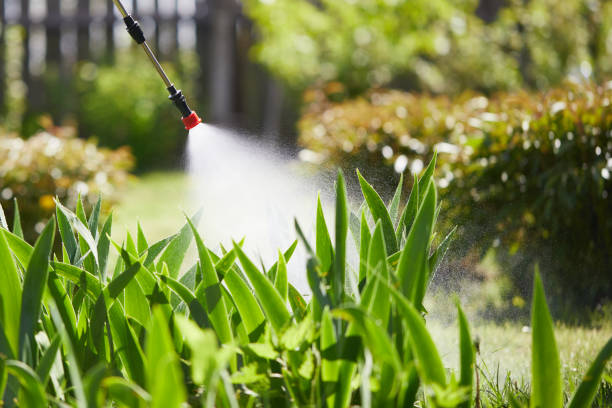 24/7 Emergency Termite Control experts in Corbin, KY