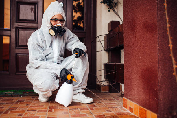Reliable Termite Control contractor in Corbin, KY by Nex Pest Control